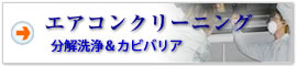 エアコン清掃クリーニング 分解洗浄＆カビバリア